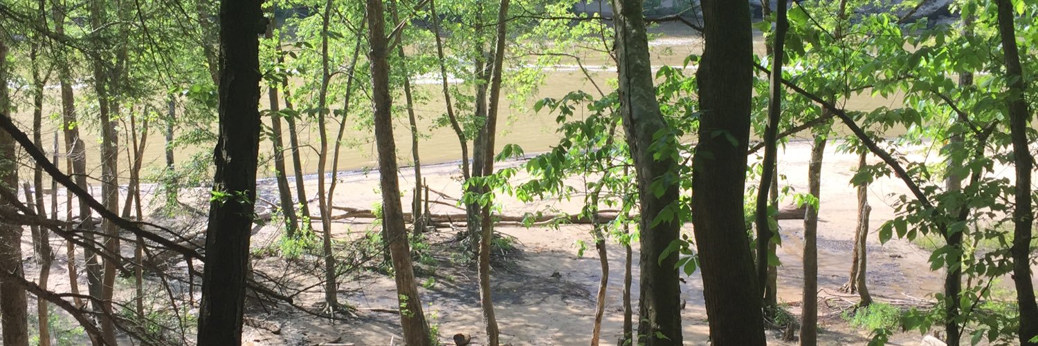 Shauna Johnson banner