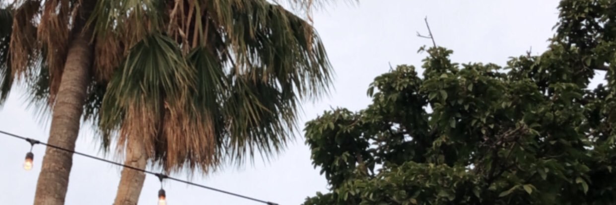 Fidel1594's profile banner image