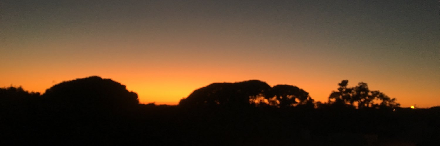 maximewlld's profile banner image