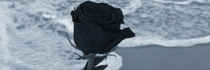 VWXYZex's profile banner image
