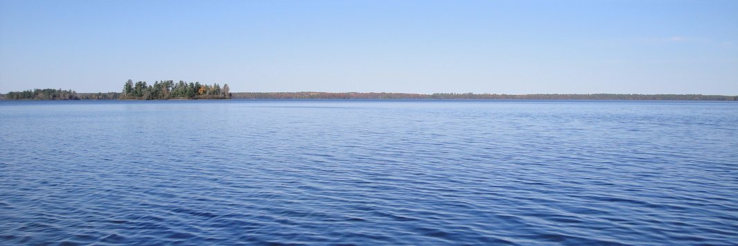 Dr. Madeline Magee banner