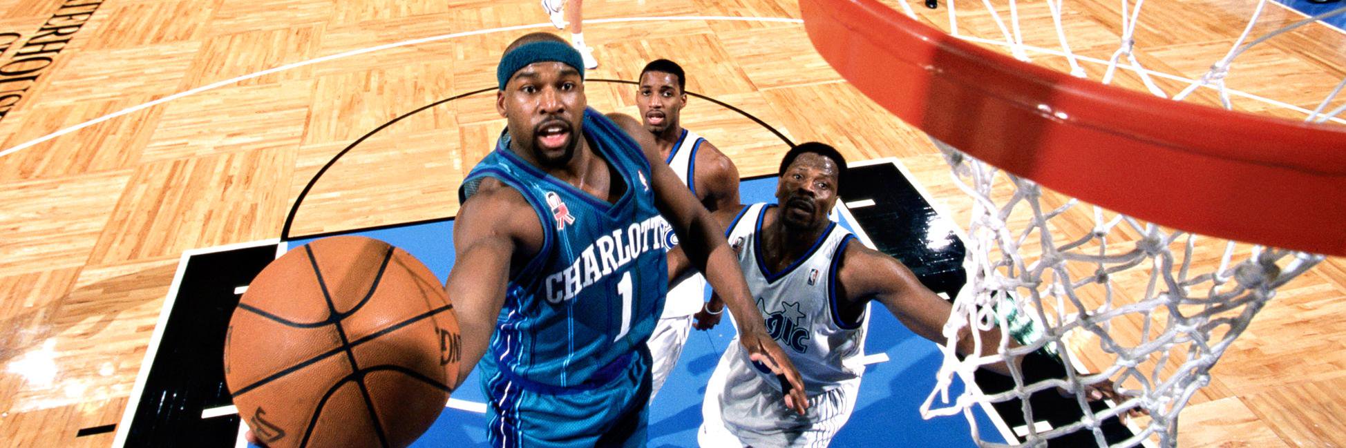 zesty_hornets's profile banner image
