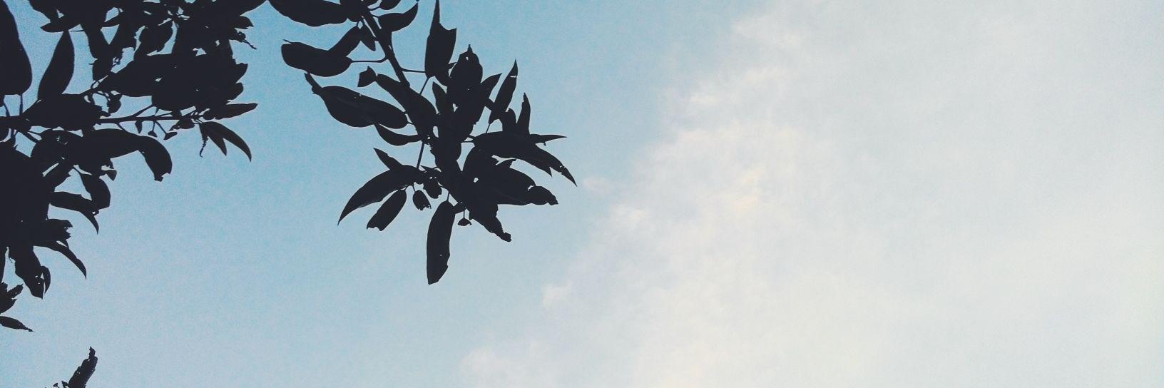 sakynn's profile banner image