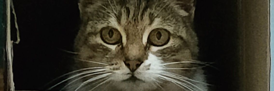 Urizen_88's profile banner image