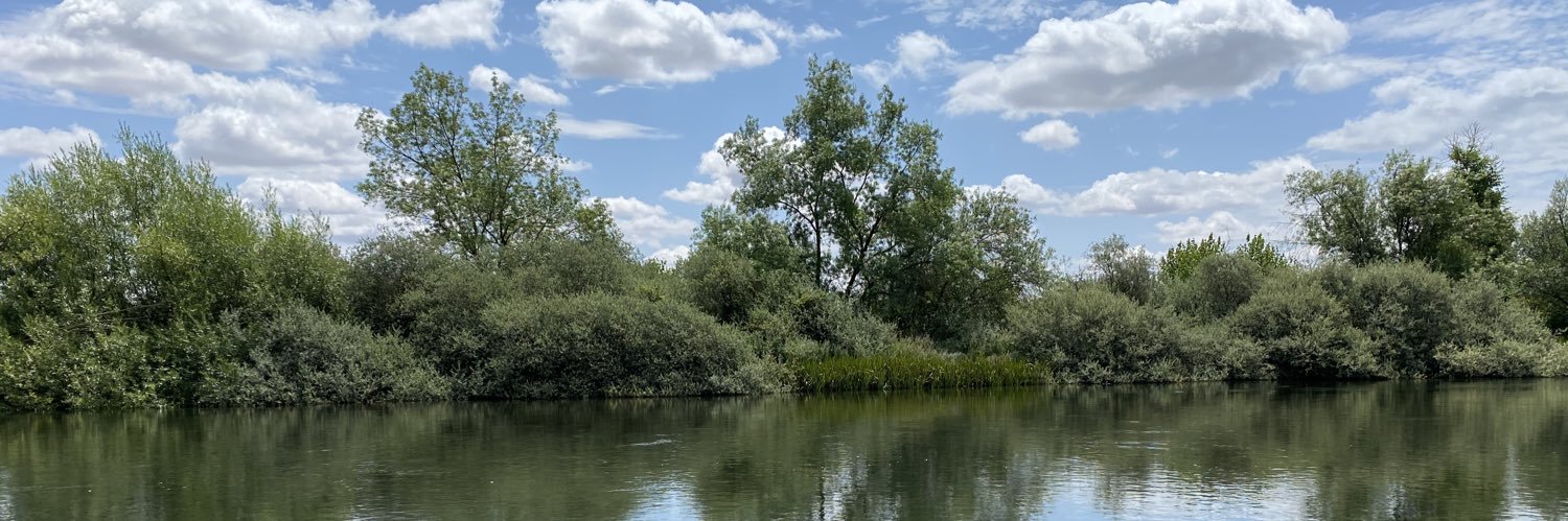 Isa González banner