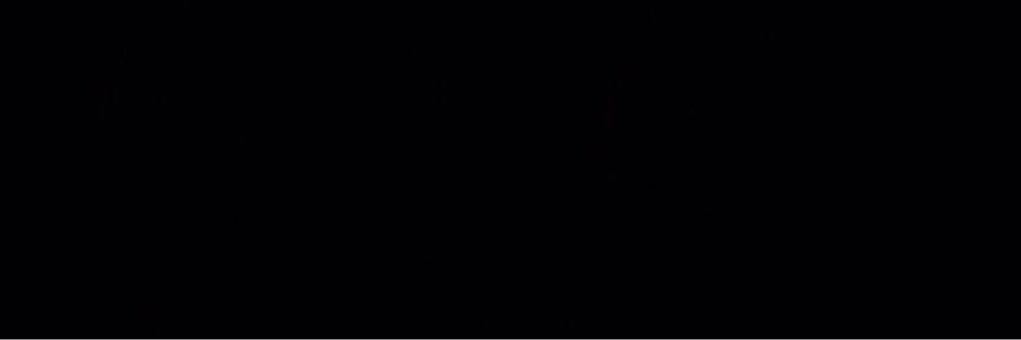 winterlvagdr's profile banner image