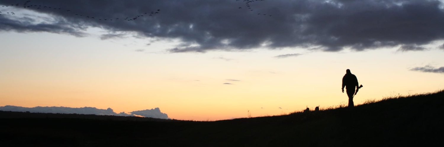 Storere's profile banner image