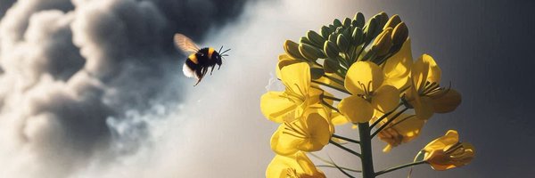 jmwryalls Profile Banner