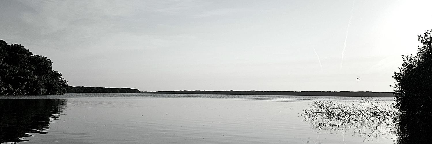 dimuffin's profile banner image