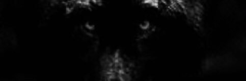 leonardoh630's profile banner image