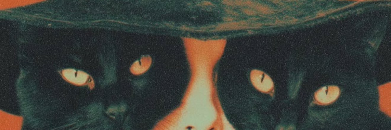 IsLauraC's profile banner image