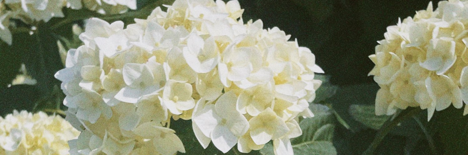44wm66's profile banner image