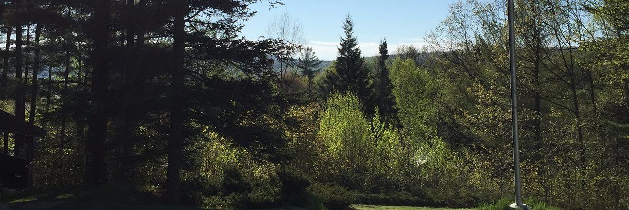 Amandatucker01's profile banner image