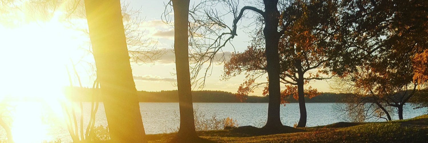 TPalsdotti's profile banner image