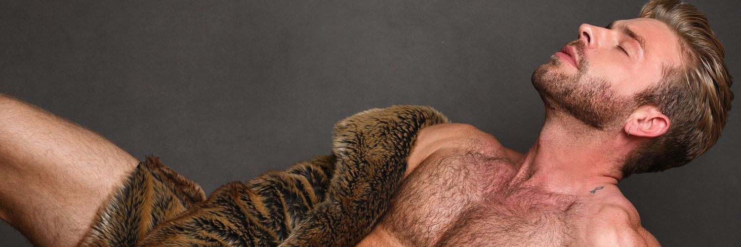 Gabriel Phoenix banner