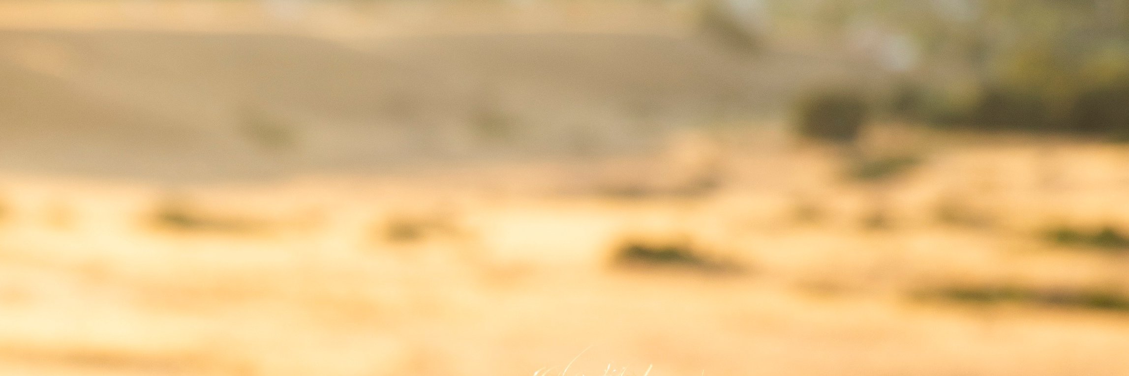 michaeldsimonMX's profile banner image