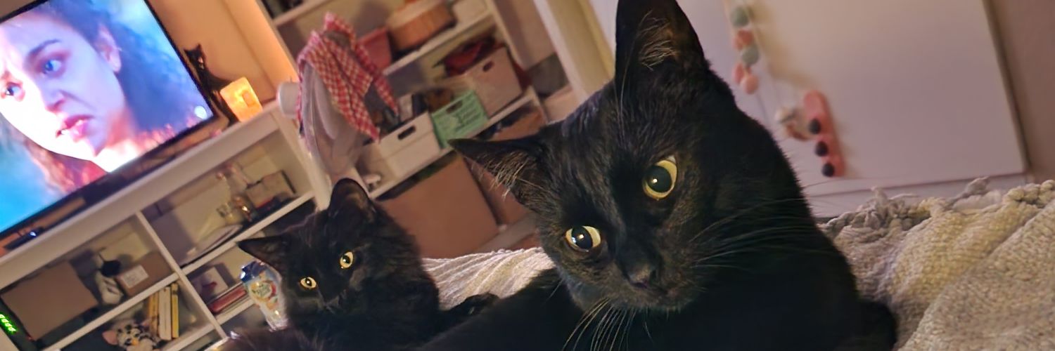 lore_et_lail's profile banner image