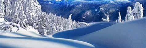 Theresa Galvin banner