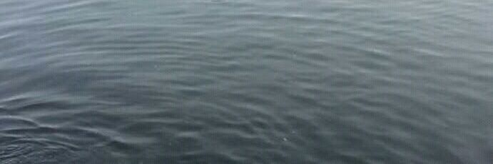 SatyaSn101's profile banner image