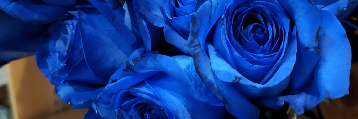 apple_yuuma's profile banner image