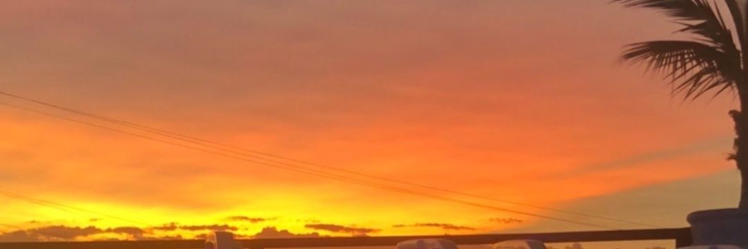 Pau_Secchi's profile banner image
