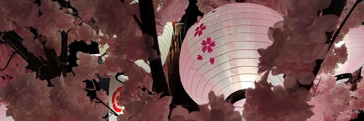 Zuzu 🌸🎐🍡 banner