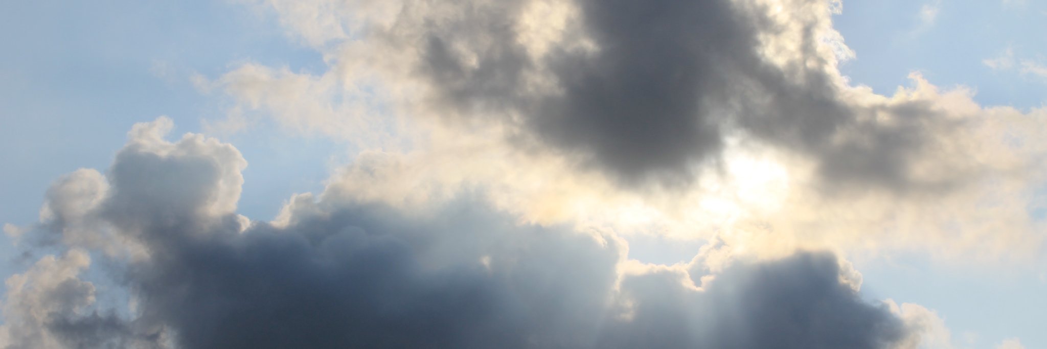 juliscottage's profile banner image