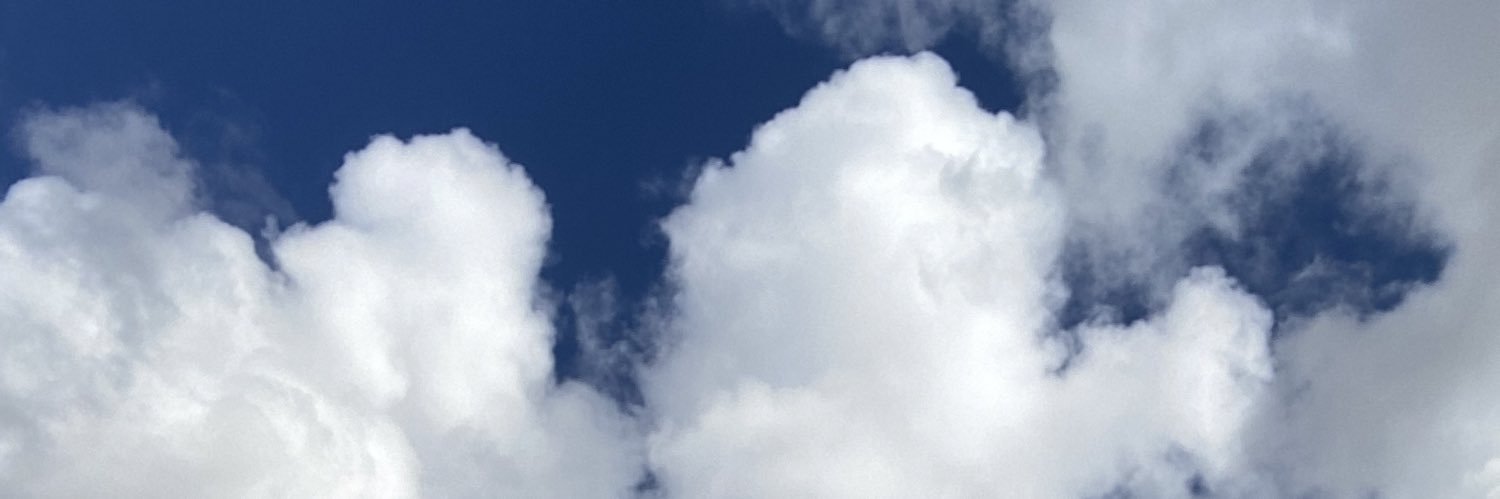 denixyl's profile banner image