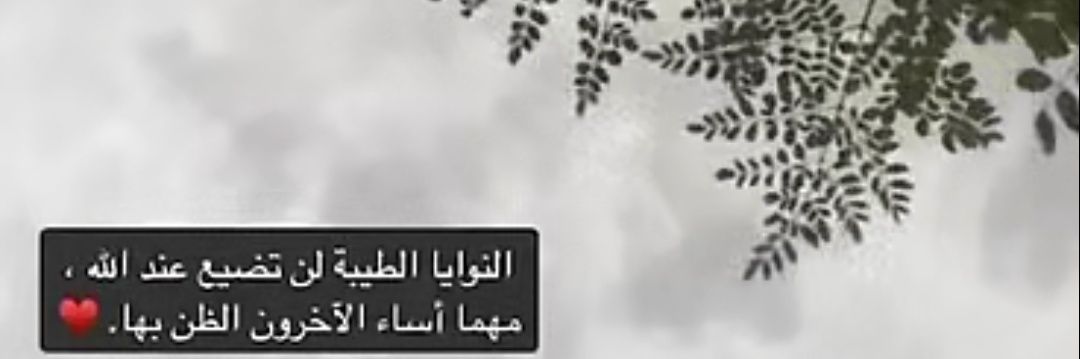 alkhamsh1437's profile banner image