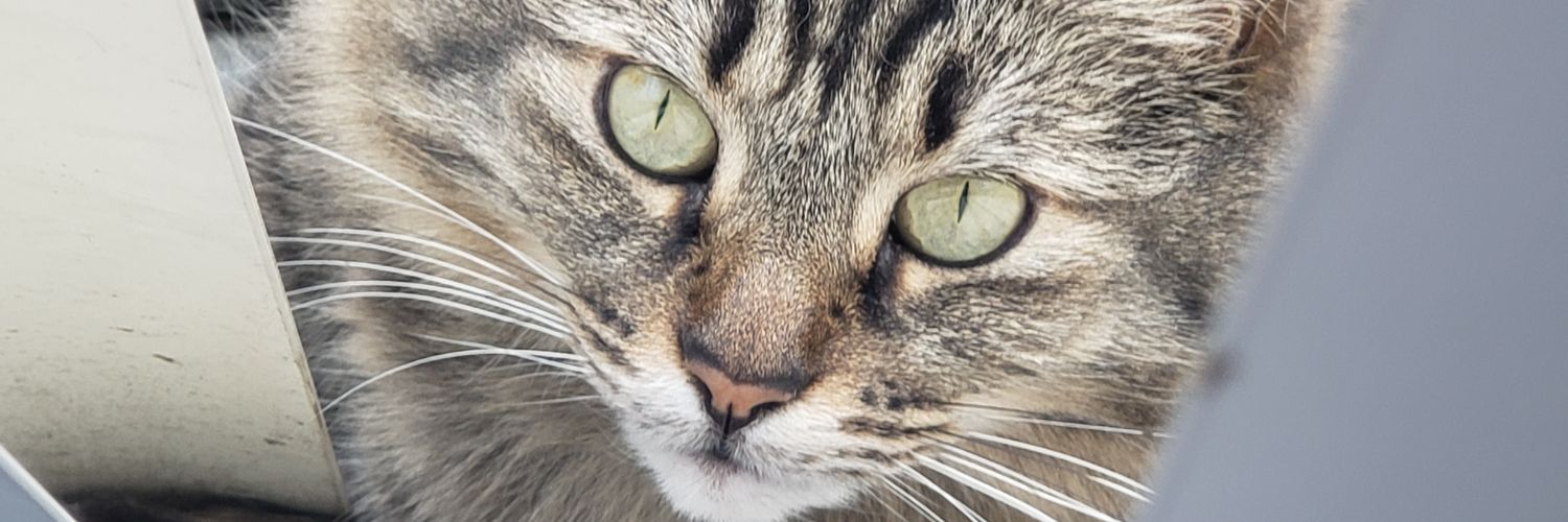 KeathiusLG's profile banner image