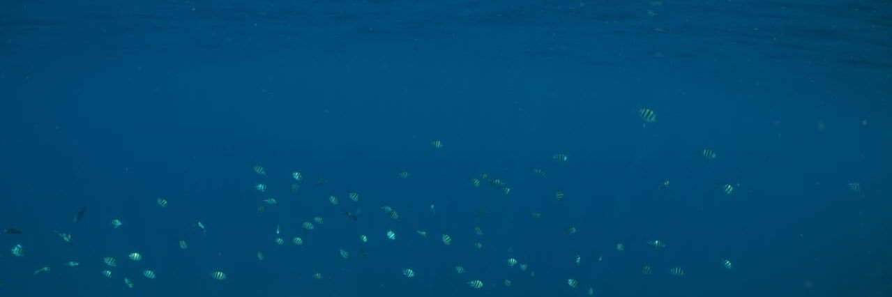 ardwinar's profile banner image