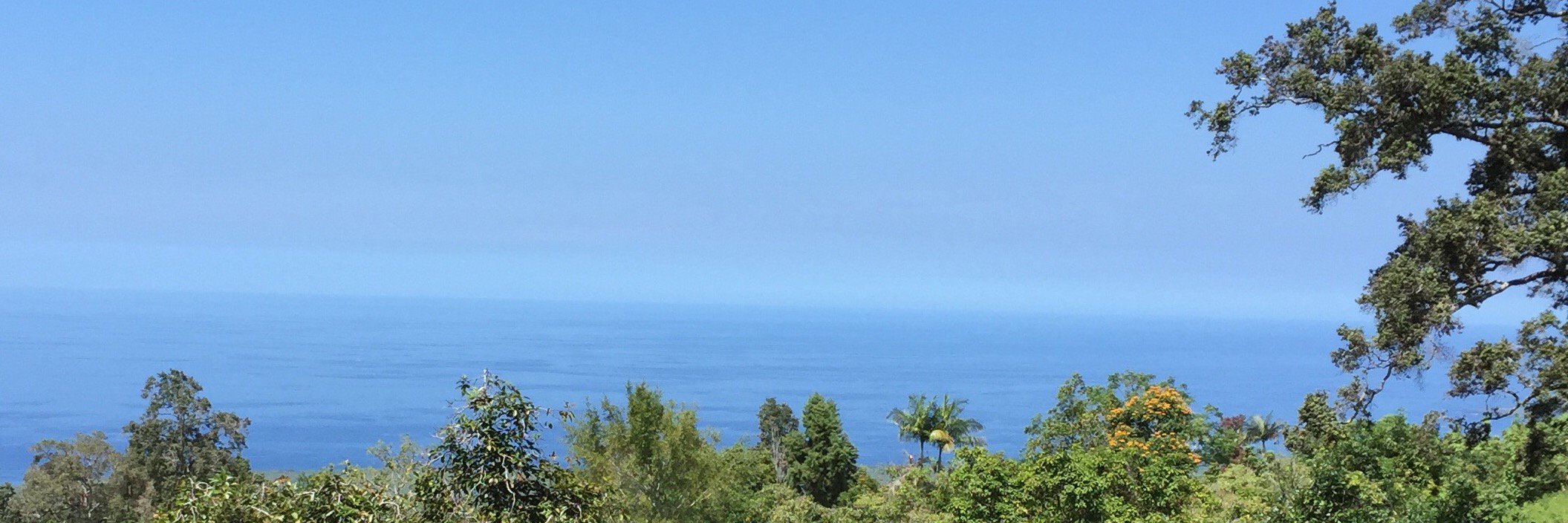 TimReinvented's profile banner image