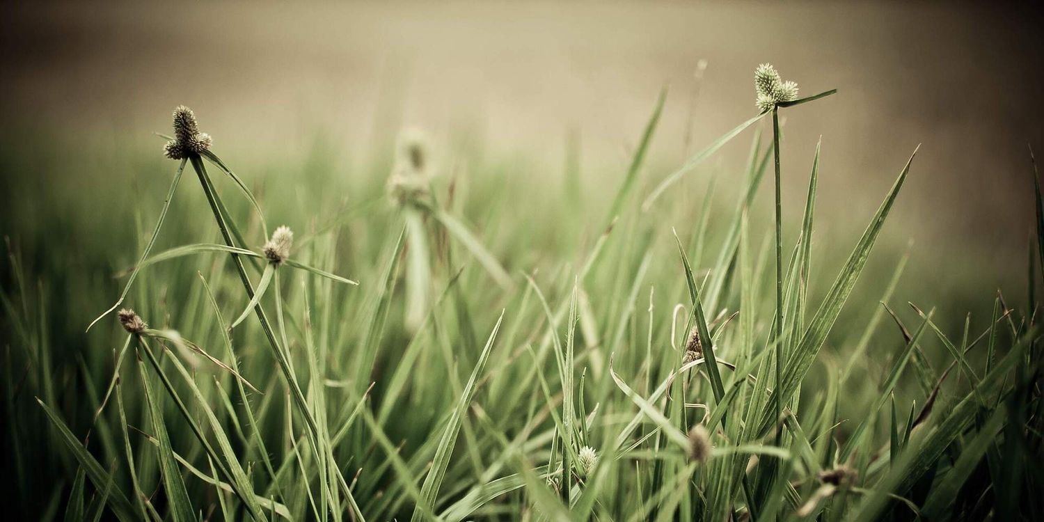 al_hidayati's profile banner image