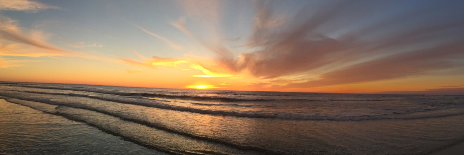 Robert Freeman banner