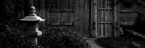 Marius_Golden's profile banner image