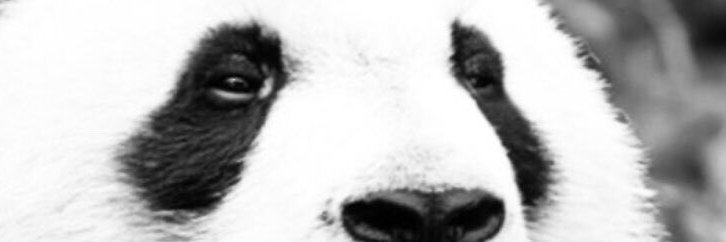 sauce_tank's profile banner image