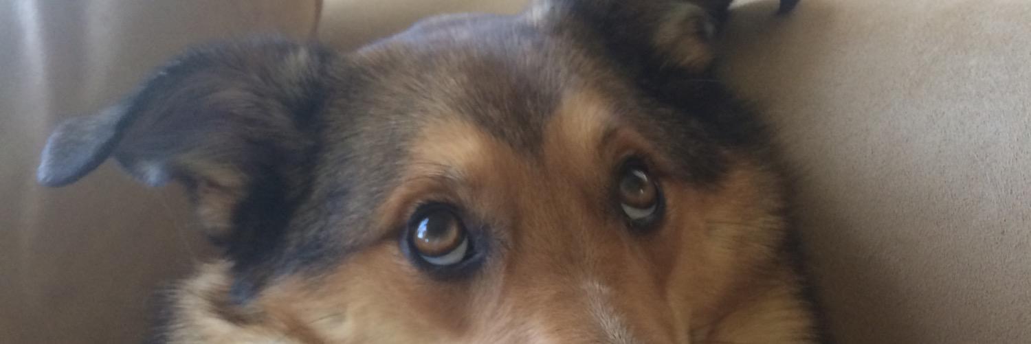 ZMiglich3's profile banner image