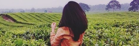 rherhesitompul's profile banner image