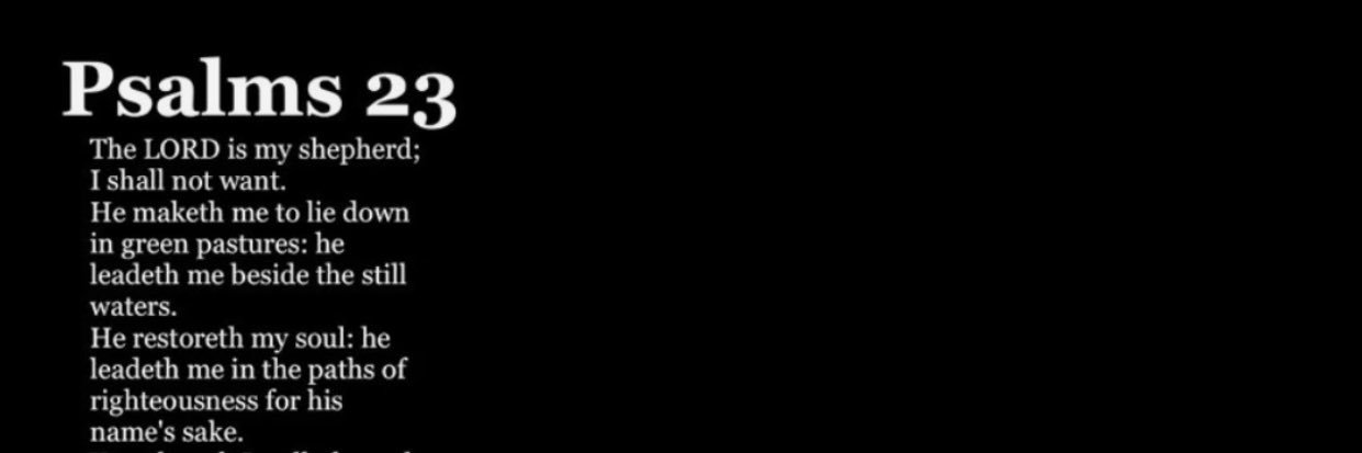 avwerut1's profile banner image