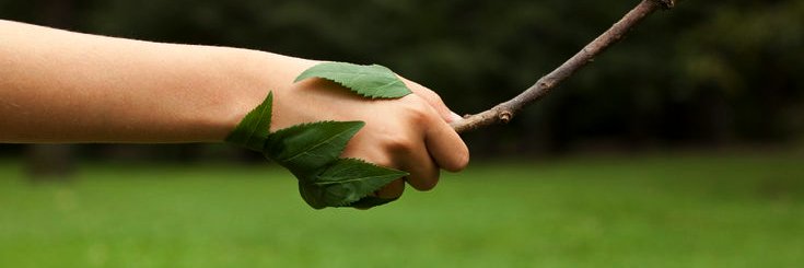jointhegrass's profile banner image