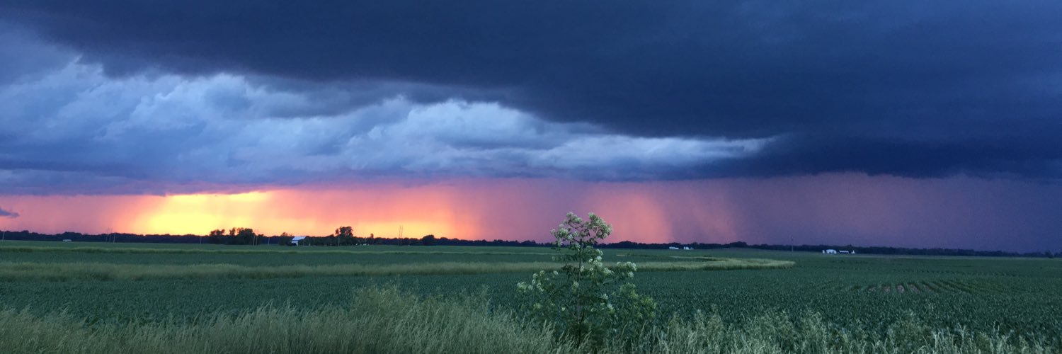 LeeZilch's profile banner image