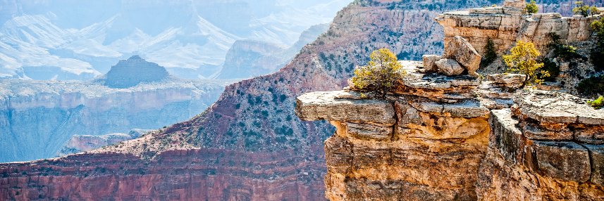 treesqueaks's profile banner image