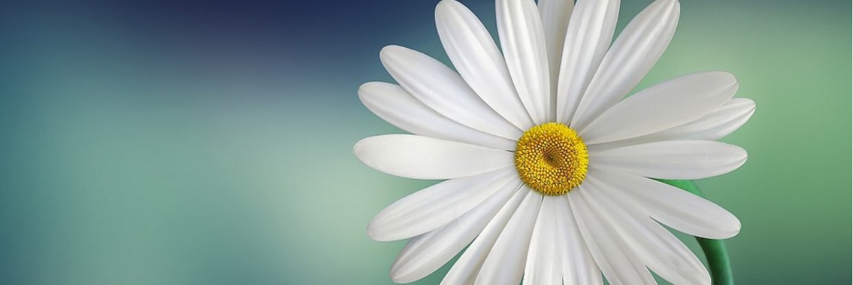 GraceLuvPurpose's profile banner image