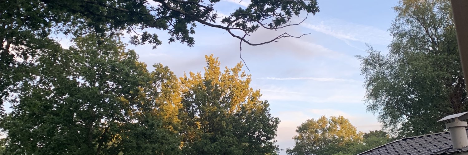 eloiselegall29's profile banner image