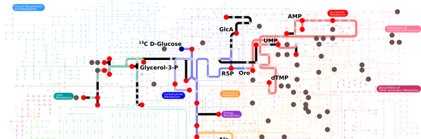 CreekLab Profile Banner