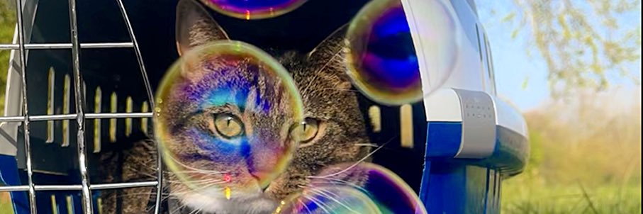 marina_srrer's profile banner image