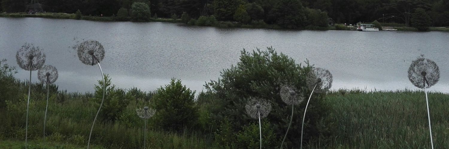 CharlotteWidge2's profile banner image