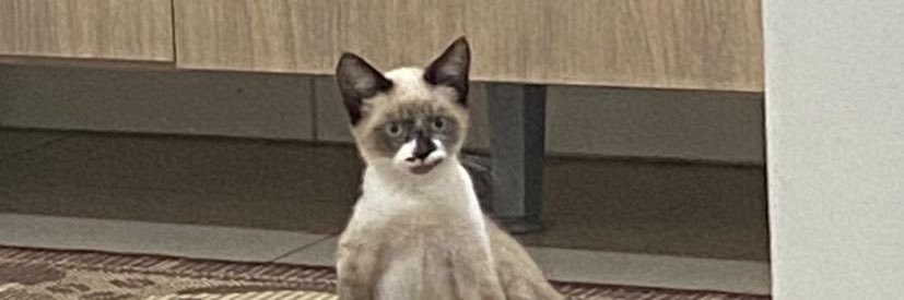 abinellx's profile banner image