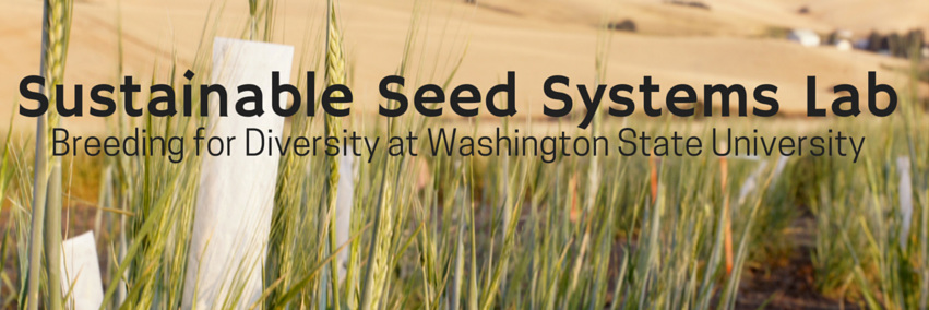 Sustainable Seed Sys banner