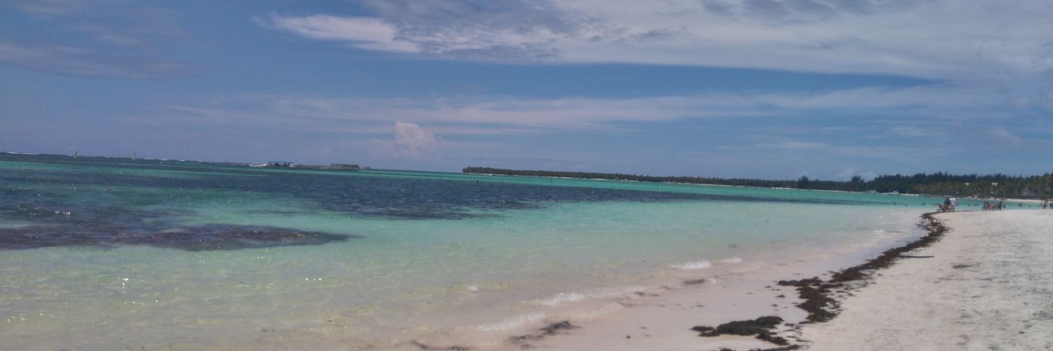 ortivn's profile banner image